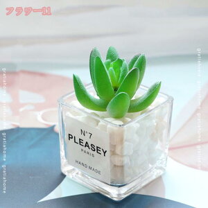 300~OFFN[| tFCNO[ A lHϗtA 킢 CeA  z[   Lb` oRj[ lHA ~j A ͂Ȃ fR[V vX`b