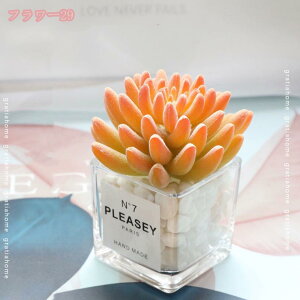 300~OFFN[| tFCNO[ A lHϗtA 킢 CeA  z[   Lb` oRj[ lHA ~j A ͂Ȃ fR[V vX`b