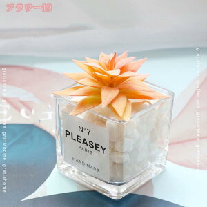 1000~OFFN[| tFCNO[ A lHϗtA 킢 CeA  z[   Lb` oRj[ lHA ~j A ͂Ȃ fR[V vX`b