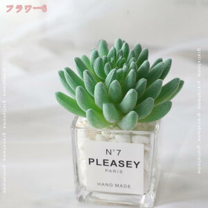 300~OFFN[| tFCNO[ ~j lHϗtA  񂹐A A rO _CjO  Lb` gC CeA G i`  T{e A Mtg 