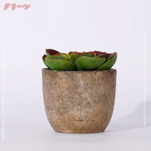 300~OFFN[| A tFCNO[ lHϗtA A ȃZ~bNA v^[ T{et[Rei AGz_[  z[ ItBX NX}X EFfB