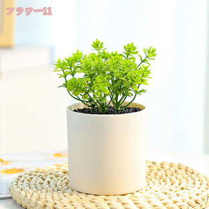 300~OFFN[| tFCNO[ A lHϗtA 킢 CeA  z[   Lb` oRj[ lHA ~j A ͂Ȃ fR[V vX`b