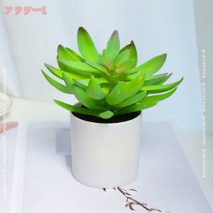 480~OFFN[| tFCNO[ A lHϗtA 킢 CeA  z[   Lb` oRj[ lHA ~j A ͂Ȃ fR[V vX`b