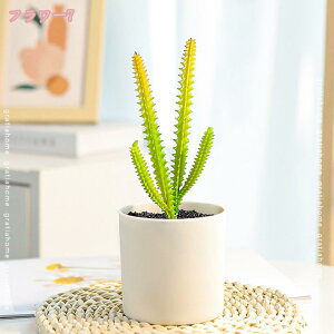 300~OFFN[| tFCNO[ A lHϗtA 킢 CeA  z[   Lb` oRj[ lHA ~j A ͂Ȃ fR[V vX`b