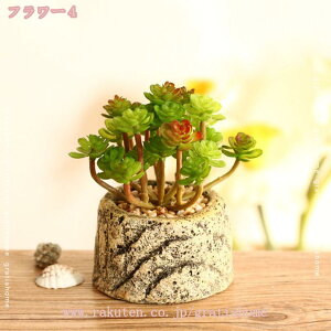 300~OFFN[| lHA tFCNO[ CeA 킢 lHA ~j ϗtA AA  K[fjO bsv fR[V  lHA A ~j