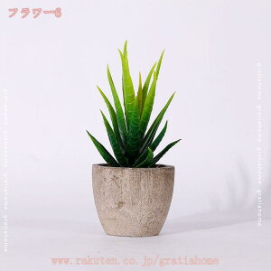 300~OFFN[| lHA ~j AA ͂Ȃ  Aؔ ϗtA  z[  fR[V Z~bN ItBX  Q rO[ oX[ Lb` oRj[