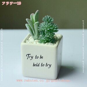 300~OFFN[| A tFCNO[ lHϗtA { 񂹐A A tFCNO[ lHϗtA lHA CeA bsv ȒPb炸 ^ tFC