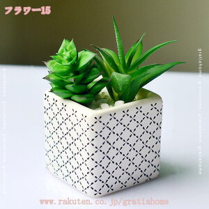 300~OFFN[| A tFCNO[ lHϗtA { 񂹐A A tFCNO[ lHϗtA lHA CeA bsv ȒPb炸 ^ tFC