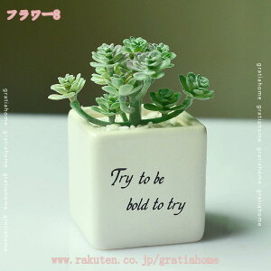 300~OFFN[| A tFCNO[ lHϗtA { 񂹐A A tFCNO[ lHϗtA lHA CeA bsv ȒPb炸 ^ tFC