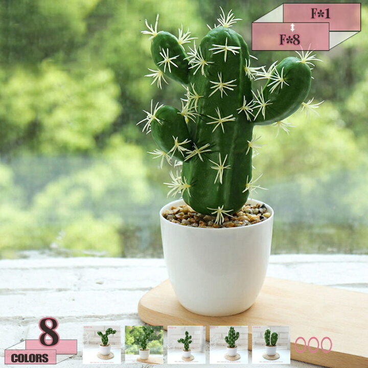 楽天市場】300円OFFクーポン サボテン 多肉植物 フェイクグリーン 人工