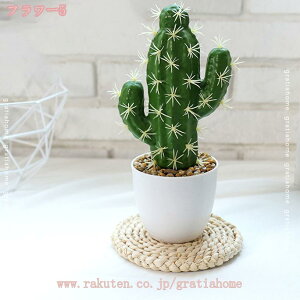 300~OFFN[| T{e A tFCNO[ lHϗtA  TXxA [J b炸 sv ItBX z[   Q oX[ fR[V ~j C