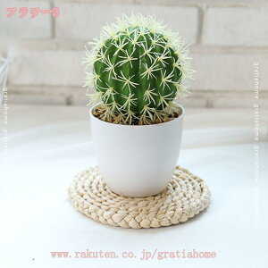 300~OFFN[| T{e A tFCNO[ lHϗtA  TXxA [J b炸 sv ItBX z[   Q oX[ fR[V ~j C