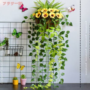 500~OFFN[|  t[ A[gt[  Ǌ| tFCNO[ j CeA t[ o fCW[ Ђ܂ 킢 CeA j  r