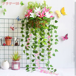 500~OFFN[|  t[ A[gt[  Ǌ| tFCNO[ j CeA t[ o fCW[ Ђ܂ 킢 CeA j  r