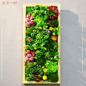 ウォールグリーン 壁掛け リアル 人工観葉植物 フェイクグリーン 木枠 北欧風 観葉植物 おしゃれ インテリア エアープランツ 室内 フレーム アンティーク 雑貨 多肉植物 壁掛け 緑 サボテン