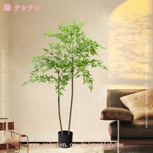 300~OFFN[| lHϗtA 傫 tFCNO[ ϗtA p  Vv ItBX  CeA j JƏj zj ȒP sv ͂Ȃ ~