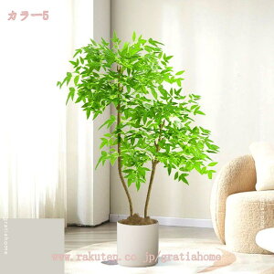 tFCNO[ 傫 A lHϗtA A  ze CeA X X GgX c Ή E P vX`bN b炸 j JƏj Mtg 