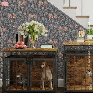 500~OFFN[| ǎ V[ ͂ ԕ ǎV[g  h CNV[g DIY  EH[XebJ[ JbeBOV[g k ̂t ӂ܎  JbeBOV[g 