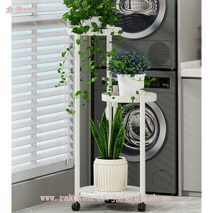 300~OFFN[| t[X^h ԑ 3i v^[ ACA   O  x_ LX^[t u |bN K[fjObN v^[X^h ~̓X