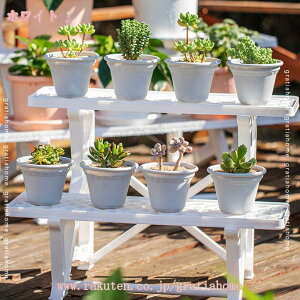 t[X^h 2i ԑ v^[ I zCg `RuE A  v^[   | K[fjO K[f bN u Aؔ  Vv  y v