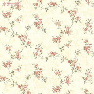 500~OFFN[| ǎ V[ ͂ NX ǎV[ ǎ ^C ͂ V[ Ǘp NX CNV[g EH[XebJ[ ANZgNX JbeBOV[g EH[V[