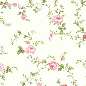 500~OFFN[| ǎ V[ ͂ NX ǎV[ ǎ ^C ͂ V[ Ǘp NX CNV[g EH[XebJ[ ANZgNX JbeBOV[g EH[V[