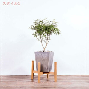 300~OFFN[| t[X^h ؐ  EbhX^h  X^h v^[X^h ϗtA Jo[ ԑ  u |bgX^h  i`   Vv 