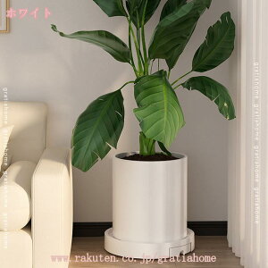 300~OFFN[| Aؔ ړԑ v^[pM v[g  t[X^h 360°] LX^[t |bN u ϗtA ԑ ړ֗ ω׏d v^[X^