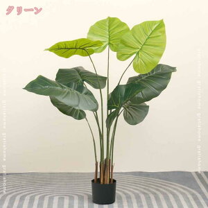 tFCNO[ OlOlȂ  lHϗtA  rO  p S CeA O[ lHϗt t t  Vv A S tFCN A