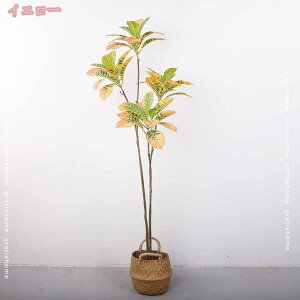 tFCNO[ ϗtA KW} lHϗtA ₷ sv Q쏜sv { t  A  CeA IV k rO lH 