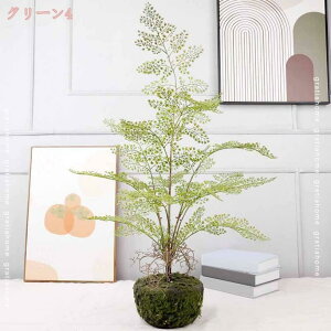 500~OFFN[| CeAO[ ϗtA tFCN tFCNO[ V_A lHϗtA  㔫A e[ufR[V R hJr  Mtg 蕨 j JX