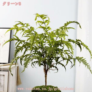 500~OFFN[| CeAO[ ϗtA tFCN tFCNO[ V_A lHϗtA  㔫A e[ufR[V R hJr  Mtg 蕨 j JX