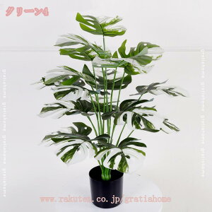 tFCNO[ ϗtA XeE|gX lHϗtA ₷ sv Q쏜sv { t  A  CeA IV k rO lH