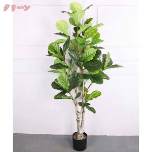 lHϗtAtFCNO[ tBJXEAeV}  ϗt A ȒP sv QSzȂ Vv   z[̑ rO  JX Vz z j