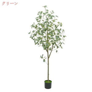 tFCNO[ ϗtA [J ^ sv ͂Ȃ QȂ { lHϗtA  A  CeA IV k  L R rO lH