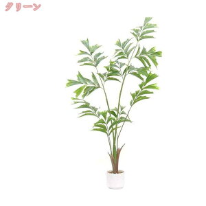 tFCNO[ ϗtA K^̖ ^ sv ͂Ȃ QȂ { lHϗtA  A  CeA IV k  L R rO lH