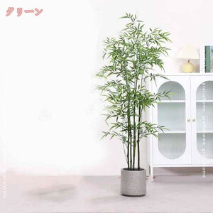 777~OFFN[| CeAO[  ϗtA ou[  t lHϗtA tFCNO[ CeA  rO ItBX sv A 蕨 Mtg Vz VXj JX