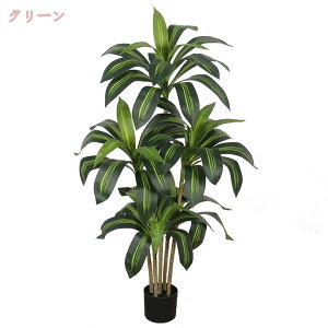 1000~OFFN[| lHϗtA \ec tFCNO[   CeA b炸  sv ͂Ȃ lH tFCNA  X ItBX z[fR[V