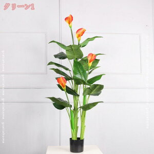 tFCNO[ lHϗtA K^̖ Xgb`A ϗt sv ԕEQ̐SzȂ AȎ} Rȗt CeAA  ItBX rO p S 