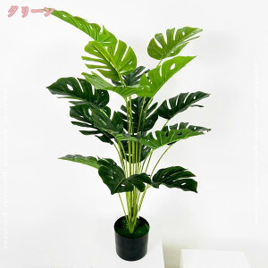 500~OFFN[| tFCNO[ Xe A j ^ sv lHϗtA tFCN  A QȂ  ͂Ȃ lHA  ItBX JtF C