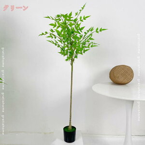 i` ou[ ϗtA lH tFCNO[  rO ItBX l炵  CeA CeAO[ R h  ϗt A A  V k _ 