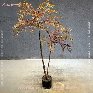 1000~OFFN[| tFCNO[ ^ ou[ A lHϗtA ϗtA tFCN  CeA  ItBX   K^̖ { Ύ k  A 