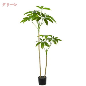 777�~OFF�N�[�|�� �C���e���A�O���[�� �p�L�� �i�`������ �l�H�ϗt�� �t�F�C�N�O���[�� �ϗt�A�� �l�H�ϗt�A�� ������� �͂�Ȃ� ������ ���킢�� ���� ���b���Ȃ� �����s�v �z�[�� ����