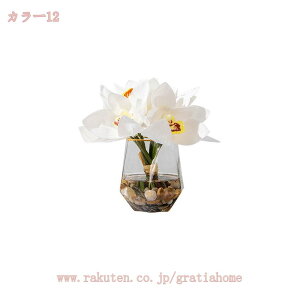 777~OFFN[| ԃAWg 㑕 fBXvC CeA VNt[ hCt[ p[eB[ j Rɋ߂ Be p 뉀 u rO ̂ю 