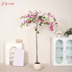 lHϗtA tFCNO[ 180cm A ^ A CeA  j ϗtA  p  tFCNc[ tFCNA  O ƒ ItBX p _ȑ 