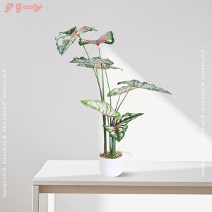 1000~OFFN[| ^ A lHϗtA tFCNO[  t v[g CeA p Bep  ze  A j JXj ό ho y ϐ fR