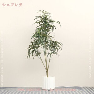 1000~OFFN[| ϗtA tFCNO[ ^ lHϗtA  A { lHA   rO CeA ItBX ][g Vz Xܗp Ɩp lH