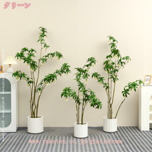 lHϗtA tFCNO[ ^ A sv ͂Ȃ ItBXp rO p Vzj A o[Xf[ a VN lփTvCY  L N Ύ C