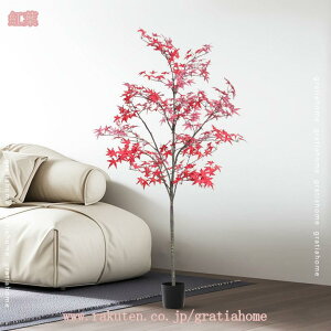 ^ ϗtA lHϗtA tFCNO[ A t CeA  O tFCNA sv ͂Ȃ ~͐A  Vzj H͋̕C Ƃ̑ ItBX rO[