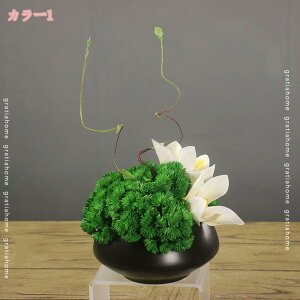 777~OFFN[| tFCNt[ zep ؕ e[uZ^[ OWA[ t[fR[V A^b`H e[uΉ AW\ ؕ e[uZ^[ X